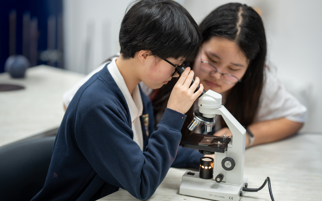 Britannica International School Budapest: Hungary’s Leading A Level and IGCSE School